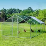 Our Take on the HITTITE Large Metal Chicken Coop with Run