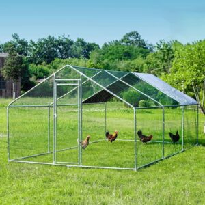 Our Take on the HITTITE Large Metal Chicken Coop with Run