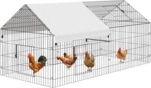 Our Take on the Spacious, Sturdy Metal Chicken Coop with Cover