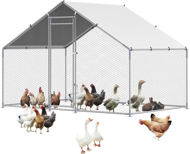 Why We Love the VEVOR Large Metal Chicken Coop for Our Yard