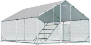 Our Honest Take on the Large Metal Chicken Coop with Feeding Door
