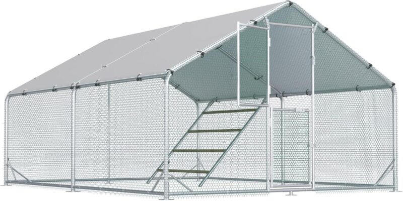 Our Honest Take on the Large Metal Chicken Coop with Feeding Door