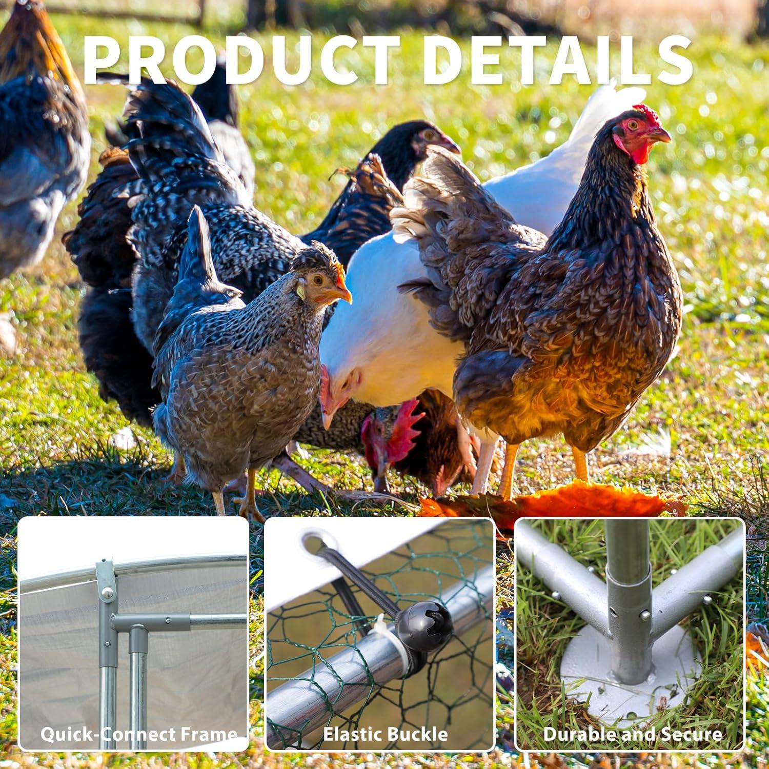 Why we Chose‍ This large ​metal Coop for our Outdoor Pets