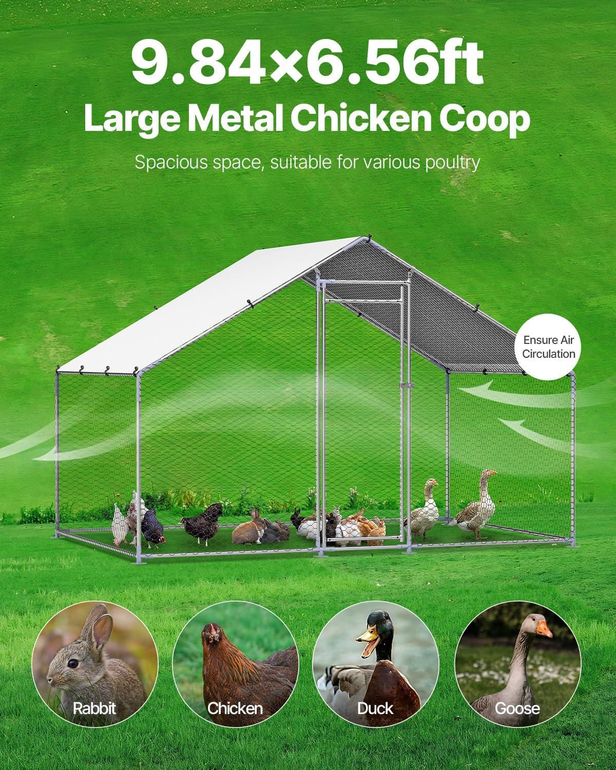 Why We Love the VEVOR Large Metal Chicken Coop for Our Yard