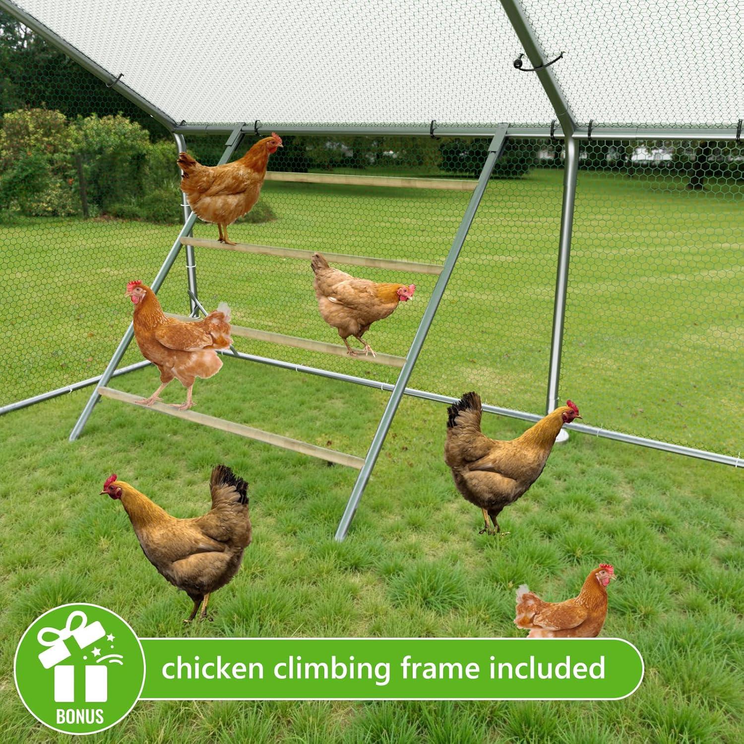 Our ‍Honest​ Take⁤ on the Large Metal Chicken ⁢Coop with Feeding ⁤Door