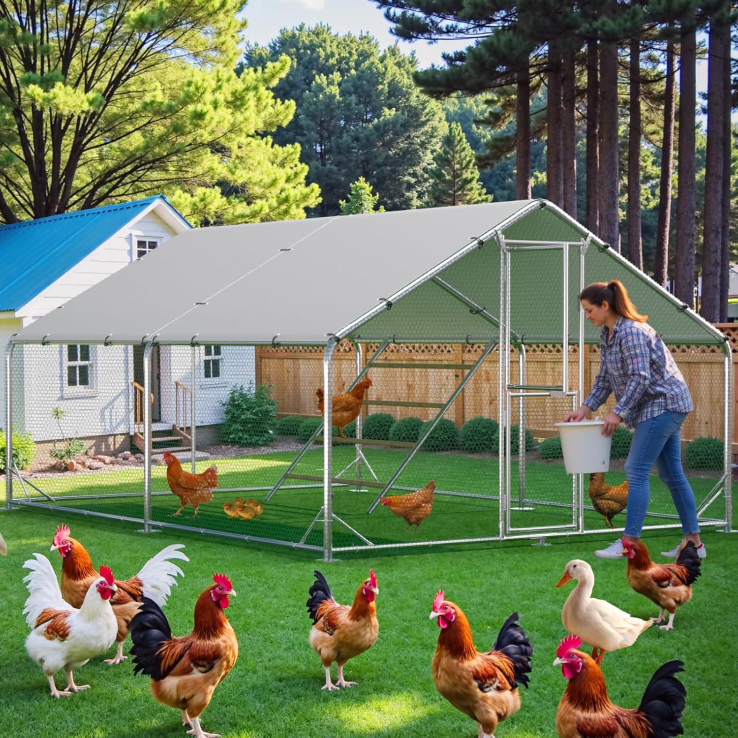 Our Honest Take on the Large Metal Chicken Coop with Feeding Door